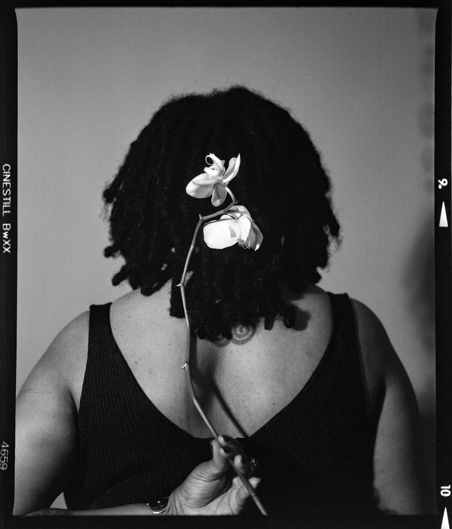 Die Bedeutung eines harmonischen Lebensstils